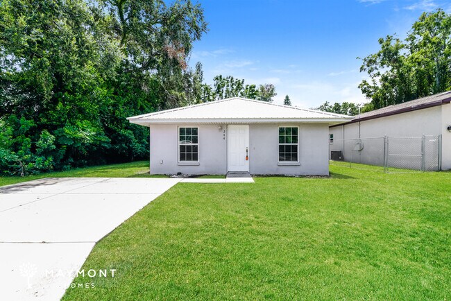 property at 244 Palmetto Ave NE