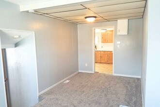 203 N Lewis Ave in Sioux Falls, SD - Building Photo - Building Photo