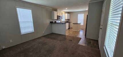 209 Magnolia Pl in Belleville, MI - Building Photo - Building Photo