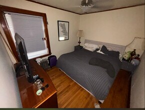 3352 S Lituanica Ave in Chicago, IL - Building Photo - Building Photo