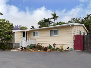 243 E Glaucus St in Encinitas, CA - Building Photo - Building Photo