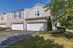 4137 Blackstone Dr in Aurora, IL - Building Photo