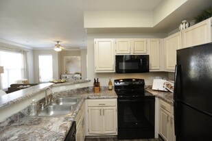 The Vintage at Zona Rosa Apartment Homes in Kansas City, MO - Building Photo