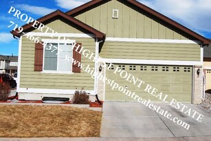 4919 Turning Leaf Way in Colorado Springs, CO - Building Photo