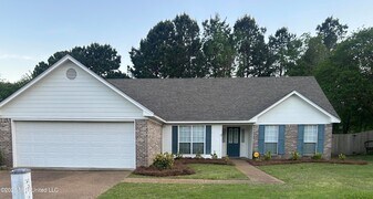 313 S Place Dr in Madison, MS - Building Photo
