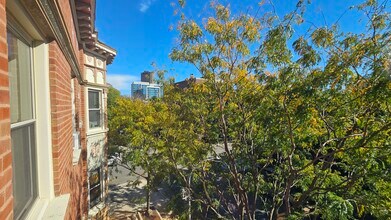 3800 N Wilton Ave in Chicago, IL - Building Photo - Building Photo