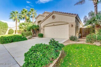3531 S Barberry Pl in Chandler, AZ - Building Photo - Building Photo