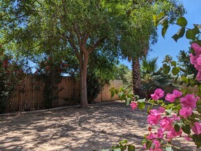 2035 E Cornell Dr in Tempe, AZ - Building Photo - Building Photo