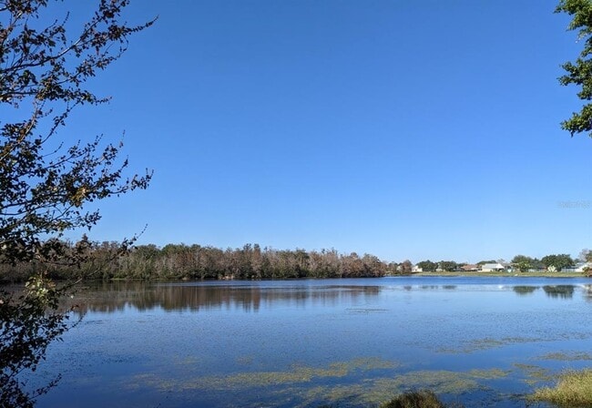 8372 Fort Clinch Ave in Orlando, FL - Building Photo - Building Photo