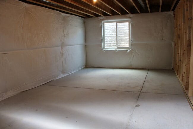 533 El Diente Ave in Severance, CO - Building Photo - Building Photo