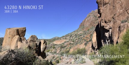 43280 N Hinoki St in Queen Creek, AZ - Building Photo - Building Photo