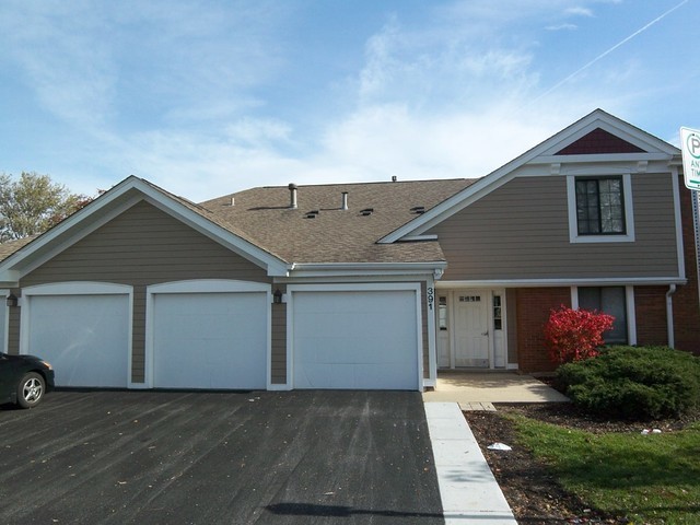391 Thornhill Ct in Schaumburg, IL - Building Photo