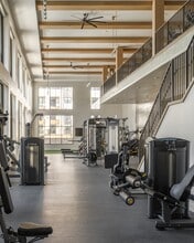 The Mia in Austin, TX - Building Photo - Building Photo