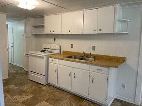 895 Hollingsworth Rd Ext in Randleman, NC - Building Photo - Building Photo