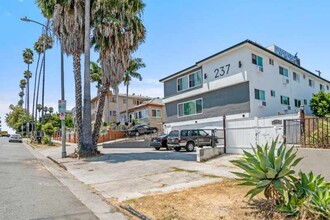 237 N Catalina St in Los Angeles, CA - Building Photo - Building Photo