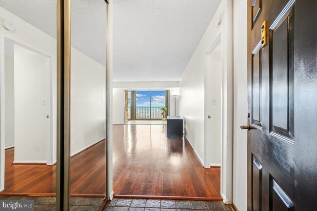 5902 Mt Eagle Dr in Alexandria, VA - Building Photo - Building Photo