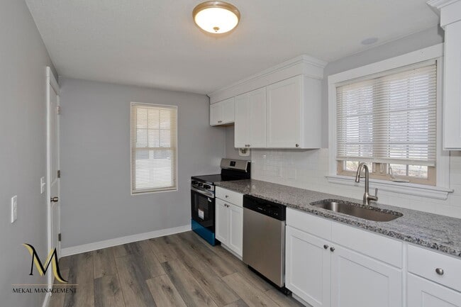 320 Island Pond Rd in Springfield, MA - Building Photo - Building Photo