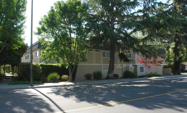 Union Square Apartments in Campbell, CA - Building Photo - Building Photo