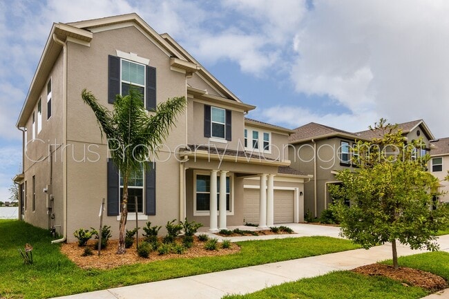 401 Blue Cypress Dr in Groveland, FL - Building Photo - Building Photo