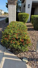 1418 E Blue Spruce Ln in Gilbert, AZ - Building Photo - Building Photo