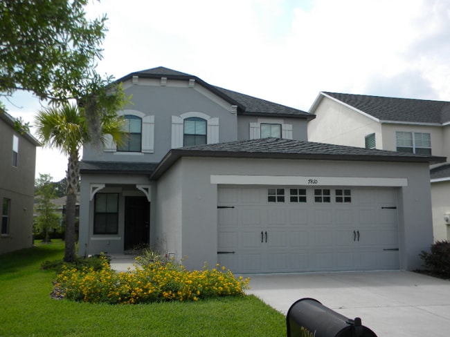 7810 Tuscany Woods Dr in Tampa, FL - Building Photo - Building Photo