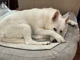 361 Linden St in Oshawa, ON - Building Photo