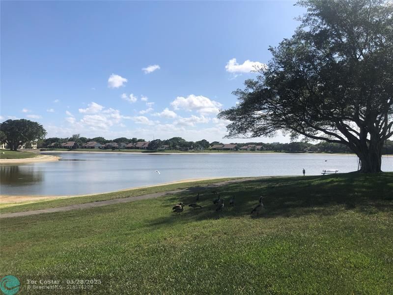 2950 Olivewood Terrace in Boca Raton, FL - Building Photo