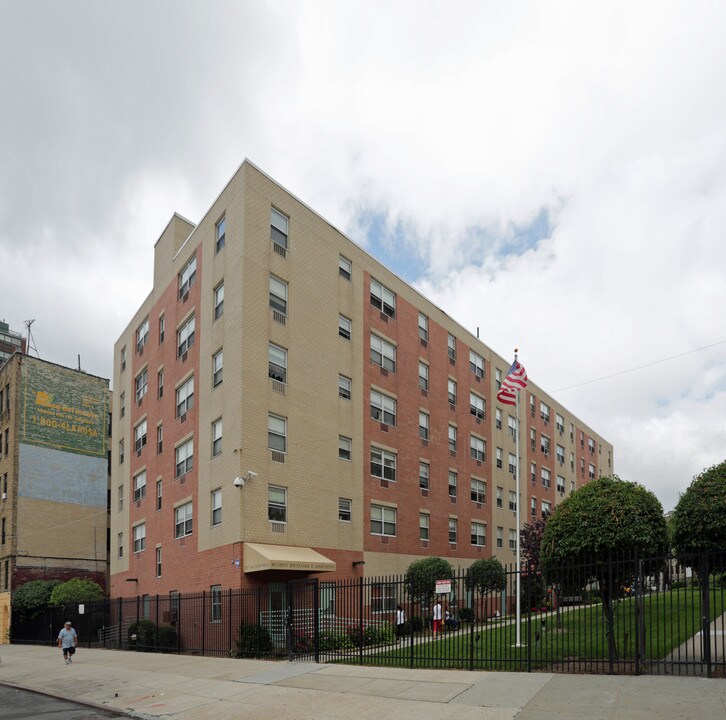 Belmont Boulevard II in Bronx, NY - Building Photo