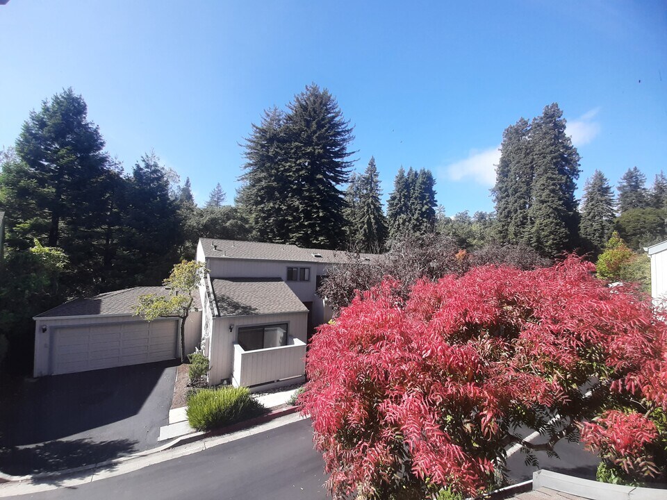 321 Village Creek Rd in Aptos, CA - Building Photo