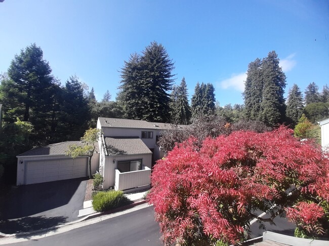 property at 321 Village Creek Rd