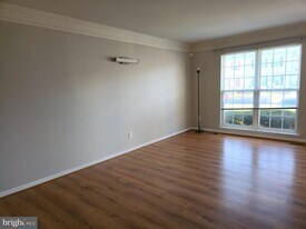 157 Darling St in Newark, DE - Building Photo