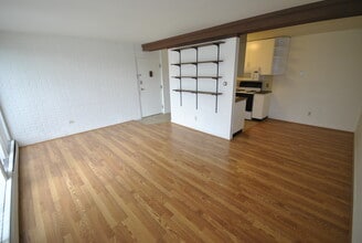 The Sans Souci in Ann Arbor, MI - Building Photo - Building Photo