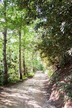 251 Landwood Ln in Flat Rock, NC - Building Photo - Building Photo