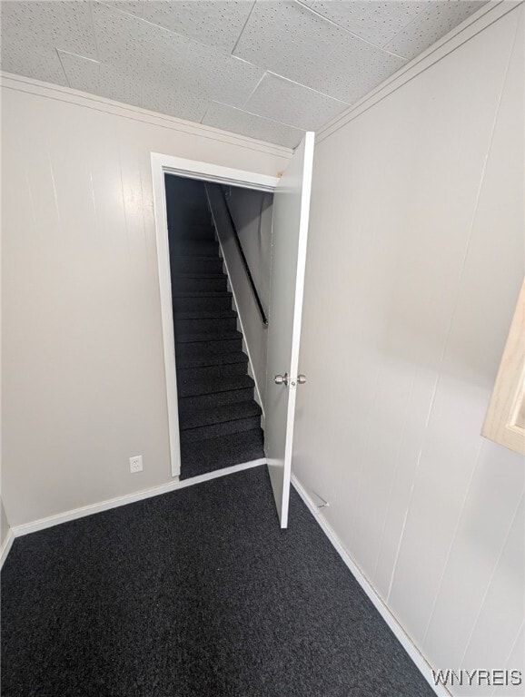 335 Ellicott St in Batavia, NY - Building Photo - Building Photo