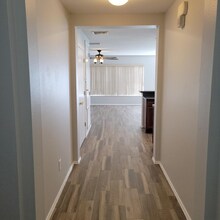 5057 Gandross Ln in Mount Dora, FL - Building Photo - Building Photo