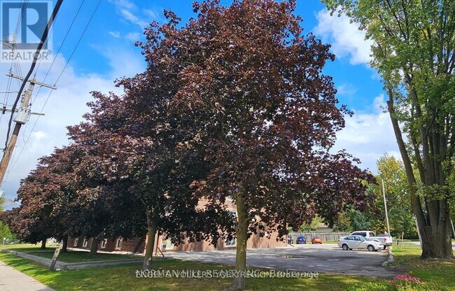 86 Curtis St in Essa, ON - Building Photo - Building Photo