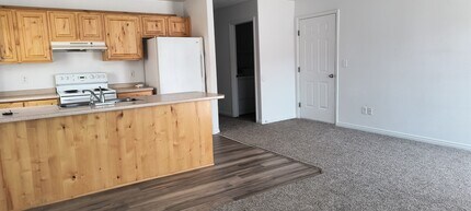 1255 N 575 W in Cedar City, UT - Building Photo - Building Photo