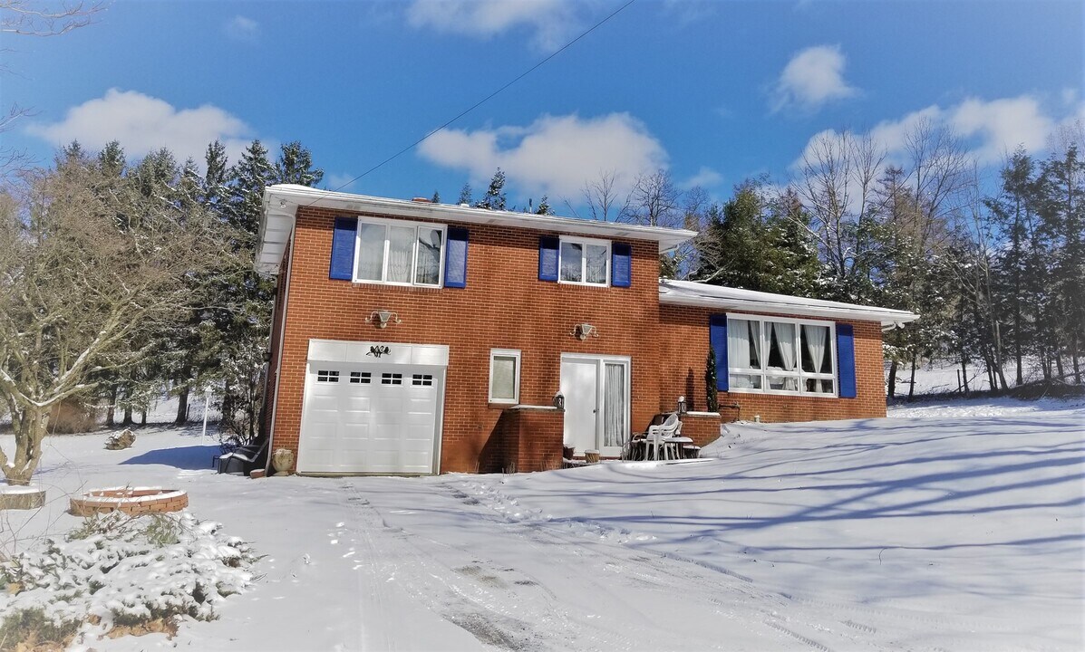 46 Pine Ln in Blairsville, PA - Building Photo