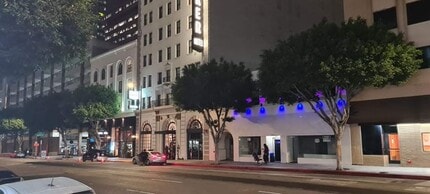 807 S Flower St in Los Angeles, CA - Foto de edificio - Building Photo