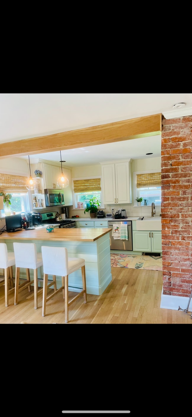property at 221 Orchard Ln