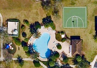12249 Country White Cir in Tampa, FL - Building Photo - Building Photo