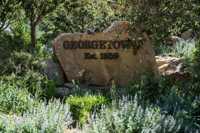 205 Loop Dr in Georgetown, CO - Building Photo - Building Photo