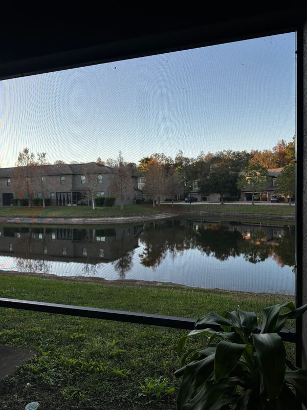 17338 Old Tobacco Rd in Lutz, FL - Foto de edificio - Building Photo