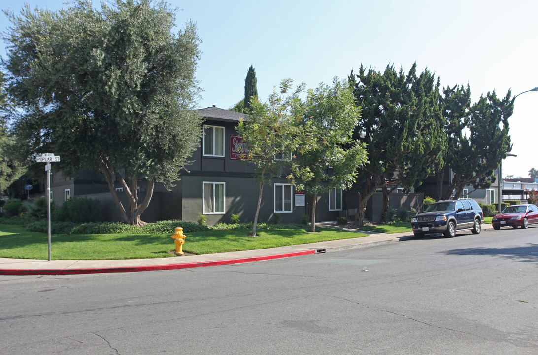 Sienna Court Apartments in Lodi, CA - Building Photo