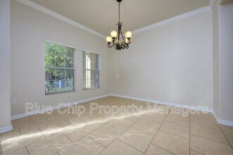 20204 Autumn Fern Ave in Tampa, FL - Building Photo - Building Photo