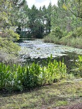 29 Bald Eagle Ct in Santa Rosa Beach, FL - Building Photo - Building Photo