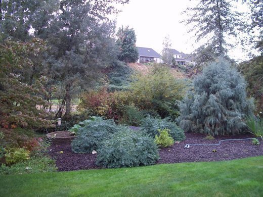 930 SE Creekside Dr in College Place, WA - Building Photo - Building Photo