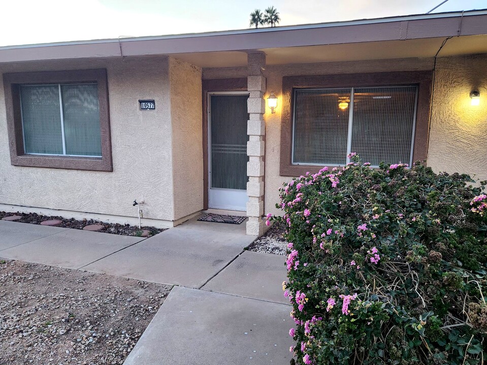 10577 W Coggins Dr in Sun City, AZ - Building Photo