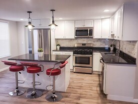 171 Olive St in New Haven, CT - Building Photo