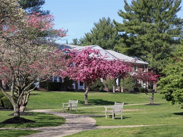 806 Short Hills Terrace in Short Hills, NJ - Building Photo - Building Photo